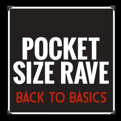 Back To Basics  - Pocket Size Dave
