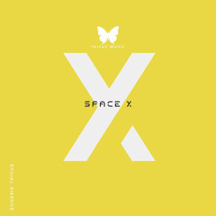 Space X
