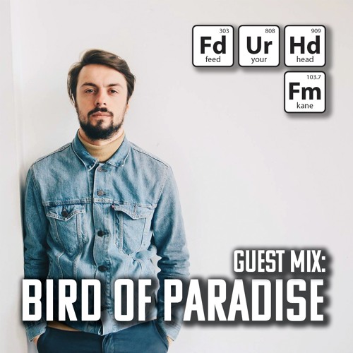 Feed Your Head Guest Mix: Bird of Paradise
