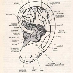 Evolvability (Our Voice)