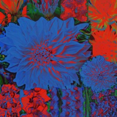 DJ Velours - Egregore Collective - 04 01 23