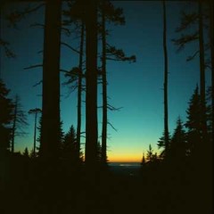 Fading Horizon