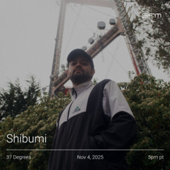 37 Degrees 11: Shibumi