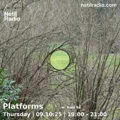 Platforms - 2nd Thursday 7-9pm