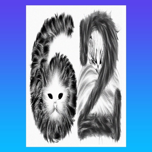 62-SOIXANTEDEUX-XXXXXXII