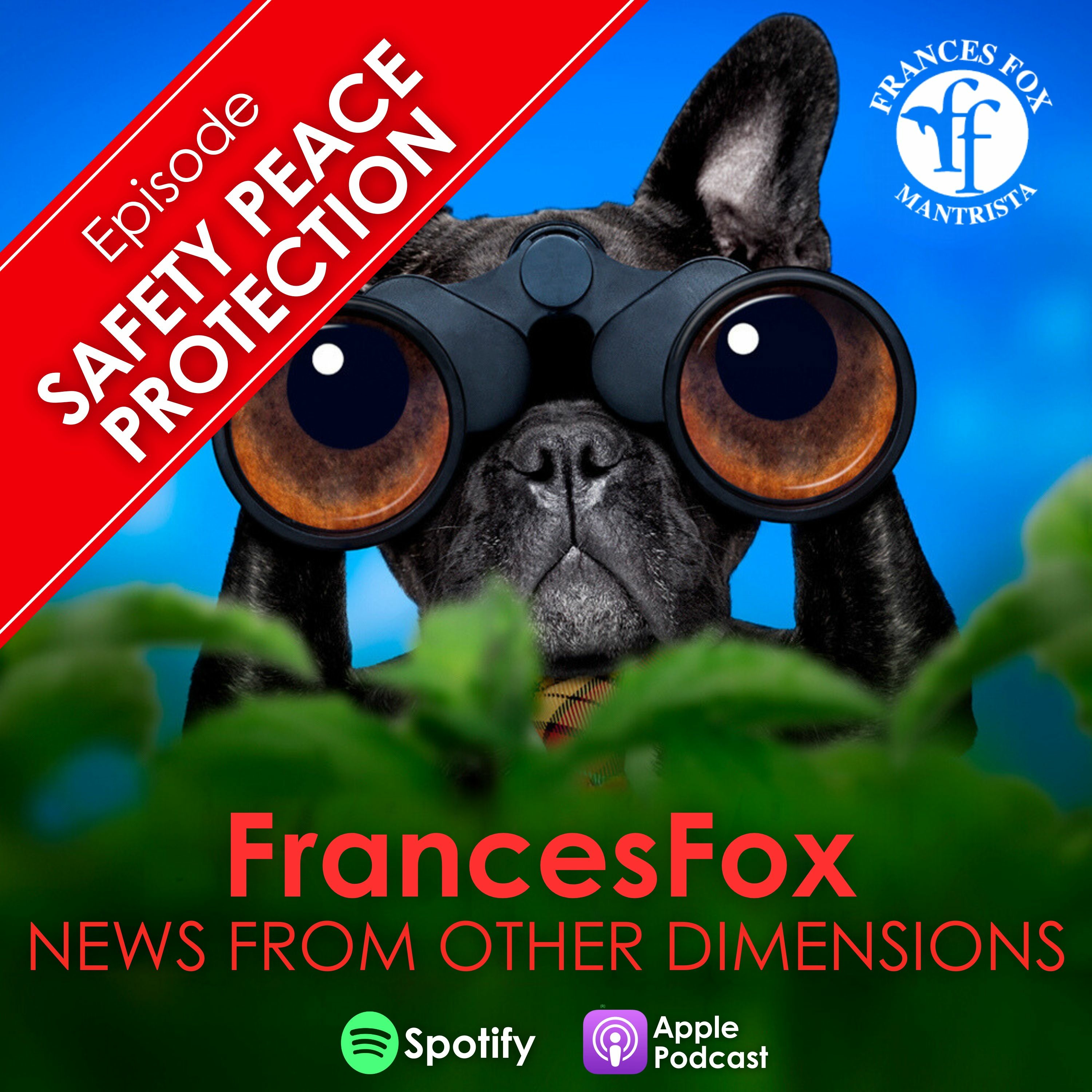 SAFETY PEACE PROTECTION