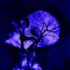 FIBEROPTIC (download)