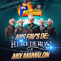 Mis Fav's de Herederos Mix 2025 - Luis Alvarado Dj SLP
