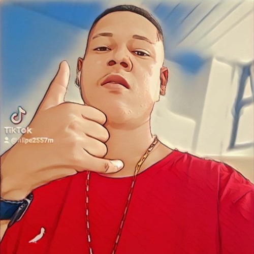 Listen To Playlists Featuring Mc Rd é Festa Na Favela Dj Fs 2024 By