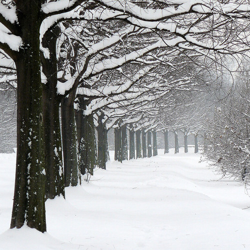 Pēteris Vasks - Baltā ainava