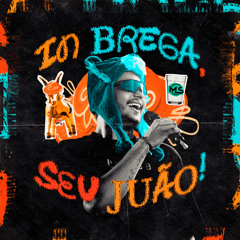 Amando Você