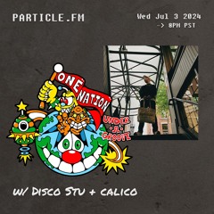 One Nation Under A Groove w/ Disco Stu + Calico - Jul 3rd 2024