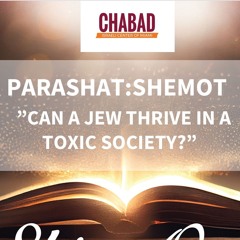 “CAN A JEW THRIVE IN A TOXIC ENVIORMENT ?” -PARASHAT SHEMOT- Sharone Lankry 5784