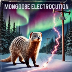 Mongoose Electrocution