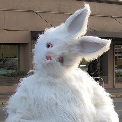 BUNNY PARTYYY (prod. vienne)