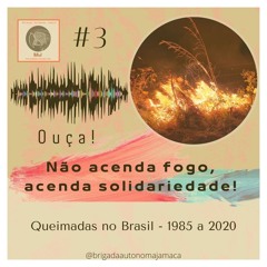 Programa #3 – Queimadas no Brasil entre 1985 a 2020