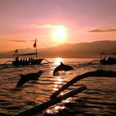 Review Special Price Dolphin Tour And Sunrise Watching In Lovina Beach All Inclusive