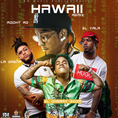 Hawaii (feat. La Greña) (Remix)