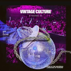 Vintage Culture - One Night In Dubai (Original Mix)