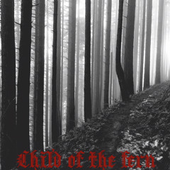 Child of the Fern