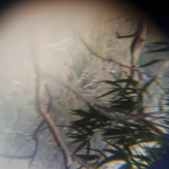 Solo saxophone, Bagdad