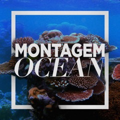 Montagem Ocean (feat. Crazy Mano, Gurkxn & LILAAX)