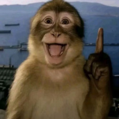 WHO-THE-FUCK-IS-YOU? / Coba Try