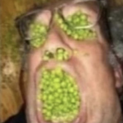 THE G00SE - yor key is my hear