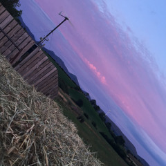 Country Roads 🤠🐄