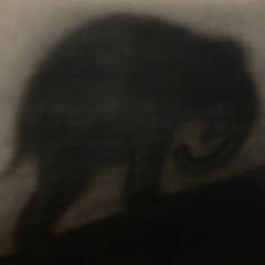 we gone be okay prod ok!