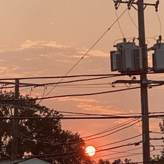 Orange Peel.E.L. (AI-Assisted)