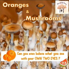 Oranges and Mushrooms - Slice Of Life Stories 🎧