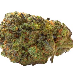 Ourmoney - Gelato