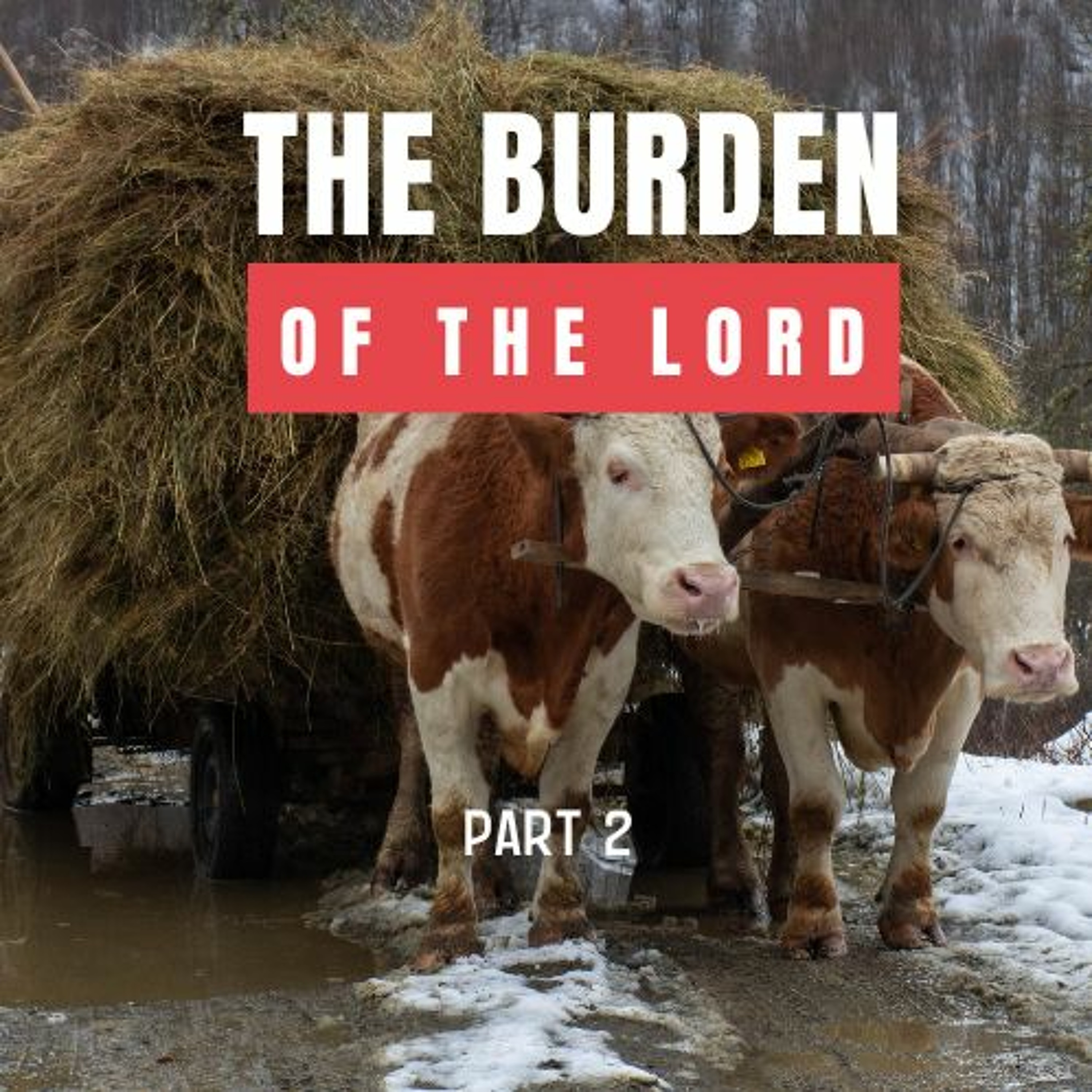 The Burden of the Lord  (PT. 2) // Pas Subash Cherian episode artwork