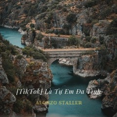 [TikTok] Là Tự Em Đa Tình