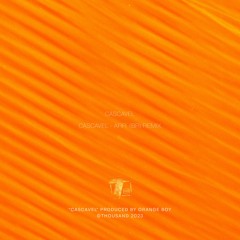 Orange Boy - Cascavel (ARR (BR) Remix) THS057