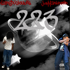 JayyUnknown x yungxclouds - 223 (Official Audio)