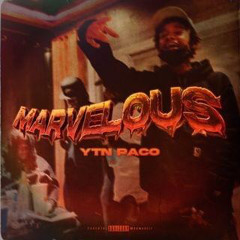 YTN Paco - Marvelous