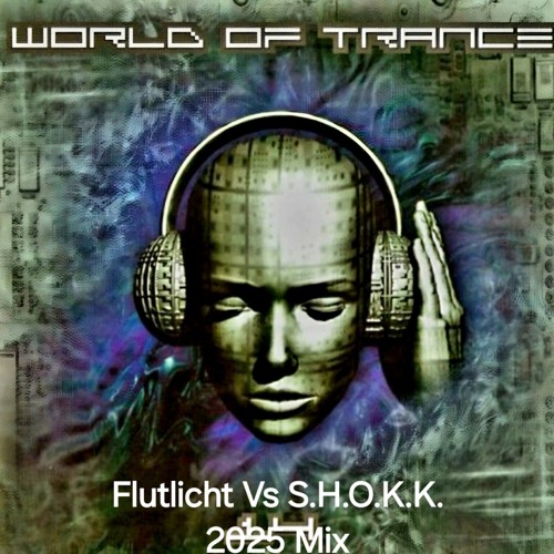 Best Of Flutlicht-Tribute To Flutlicht & S.H.O.K.K. Set 2025