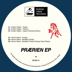 Anders Hajem & Henrik Villard - Prærien EP | BCR01