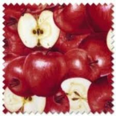 sonic & knuckles - shaarksz