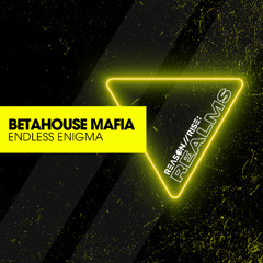BetaHouse Mafia - Endless Enigma