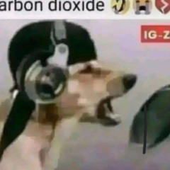 bestbeat @Prod_6starr X @goomba! #Hellstar #DN