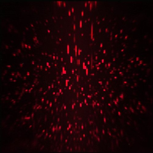 Call of the void