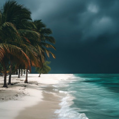 [이 남은 자가 그 남은 자인가?]롬11:1-10