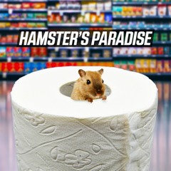 Hamster's Paradise (Plugged In #01, QONNECT Challenge Result)