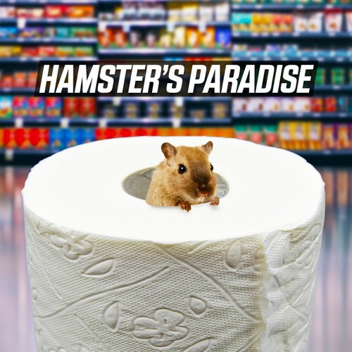 Hamster's Paradise (Plugged In #01, QONNECT Challenge Result)