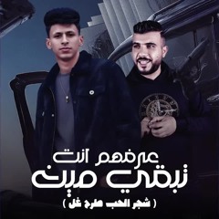 عرفهم انت تبقي مين (شجر الحب طرح غل)