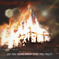 Swavey Elegant-shouldve stayed