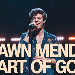 Shawn Mendes - Heart Of Gold (Ibiza Project Liquid Drum And Bass Remix)